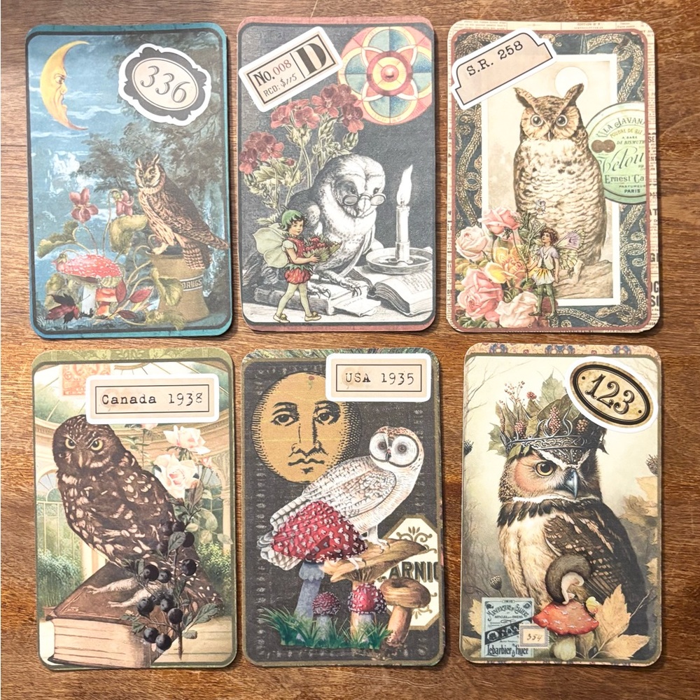 (3 for $20) Vintage Owl Journal/Note Cards set of 6. Pack #2